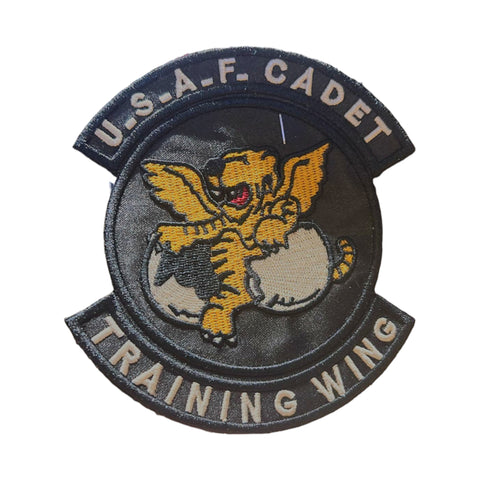 PC4244- U_S_.A_F_Cadet Training WIng (Iron On)