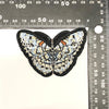 PC4191 - Baby Blue Butterfly Detailed (Iron On)