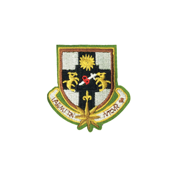 Toppa Ricamata Ferro O Cucitura Orco | Applicazione Per Cucire/Stirare Patch Fantasy | Adesivo Mostro Verde Per Tessuti | Dimensioni: 75x75mm - Foto 13